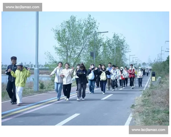 打造专业体育资讯与赛事服务的一站式平台首页网页版即时数据分析互动体验