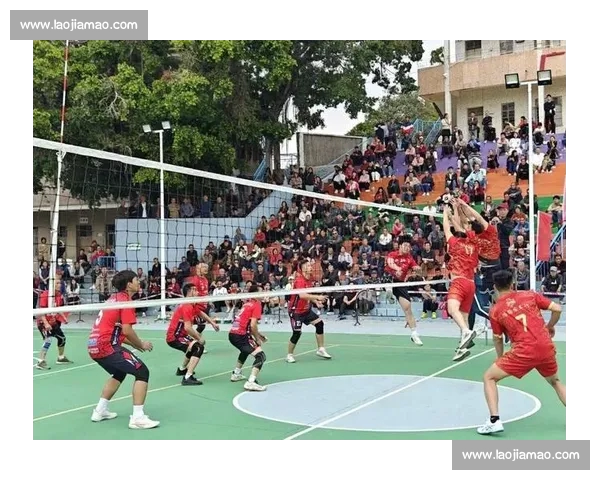 青春力量在赛场绽放全国排球比赛点燃团队荣耀梦想与拼搏精神同行