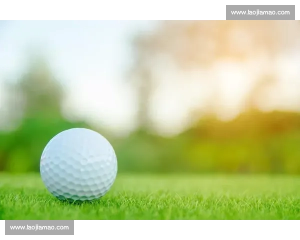 高清流畅足球直播APP下载指南实时赛事精彩不断免费看球数据分析 - 副本 - 副本 - 副本 - 副本 - 副本 - 副本