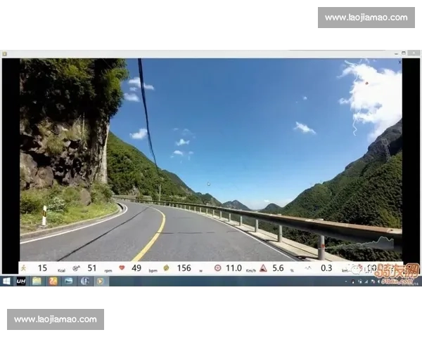 体育网站官网入口大全，快速访问热门赛事和最新体育资讯平台