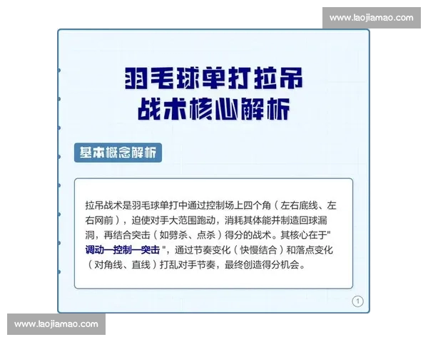 羽毛球运动技巧全面解析：从基础动作到高阶战术的全方位提升